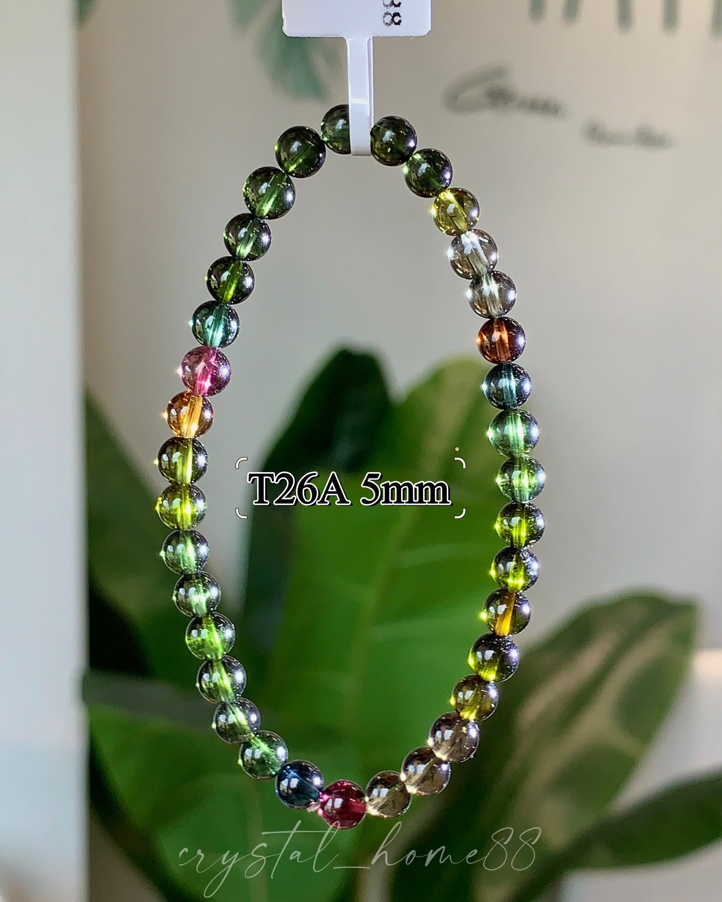 黑美人碧玺 Tourmaline（T26）