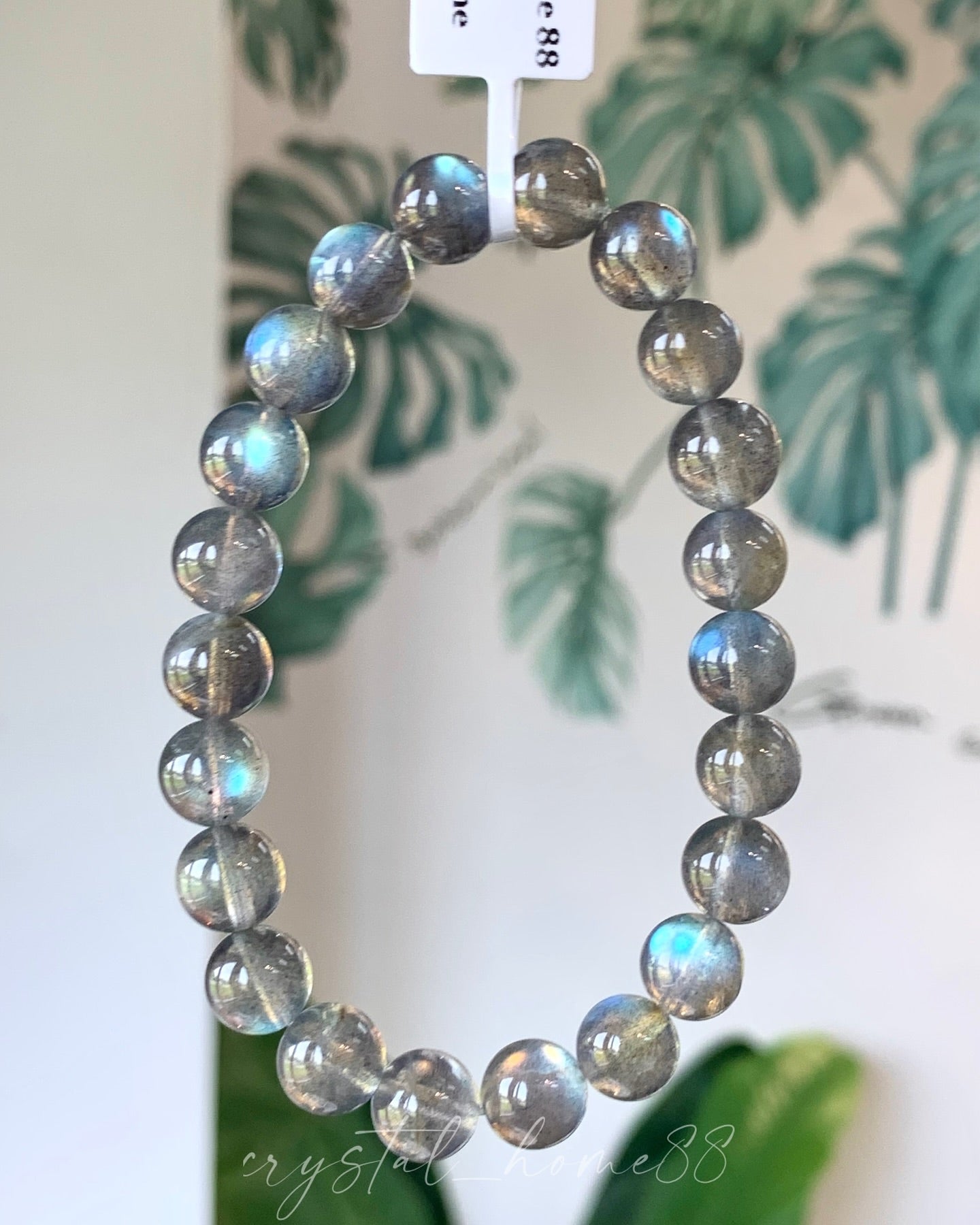 灰月光 Moonstone（M23）