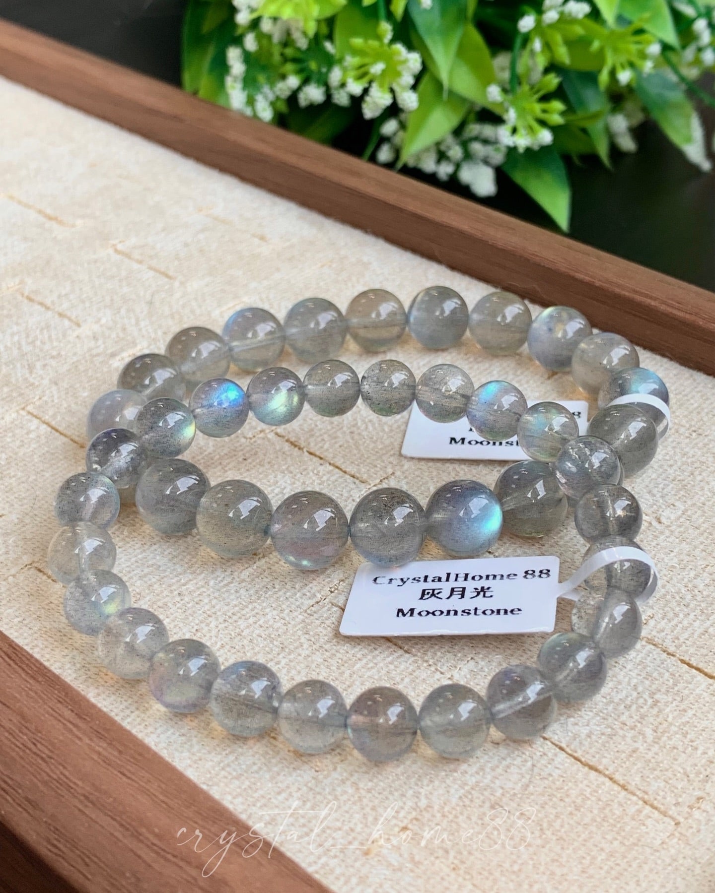 灰月光 Moonstone（M23）