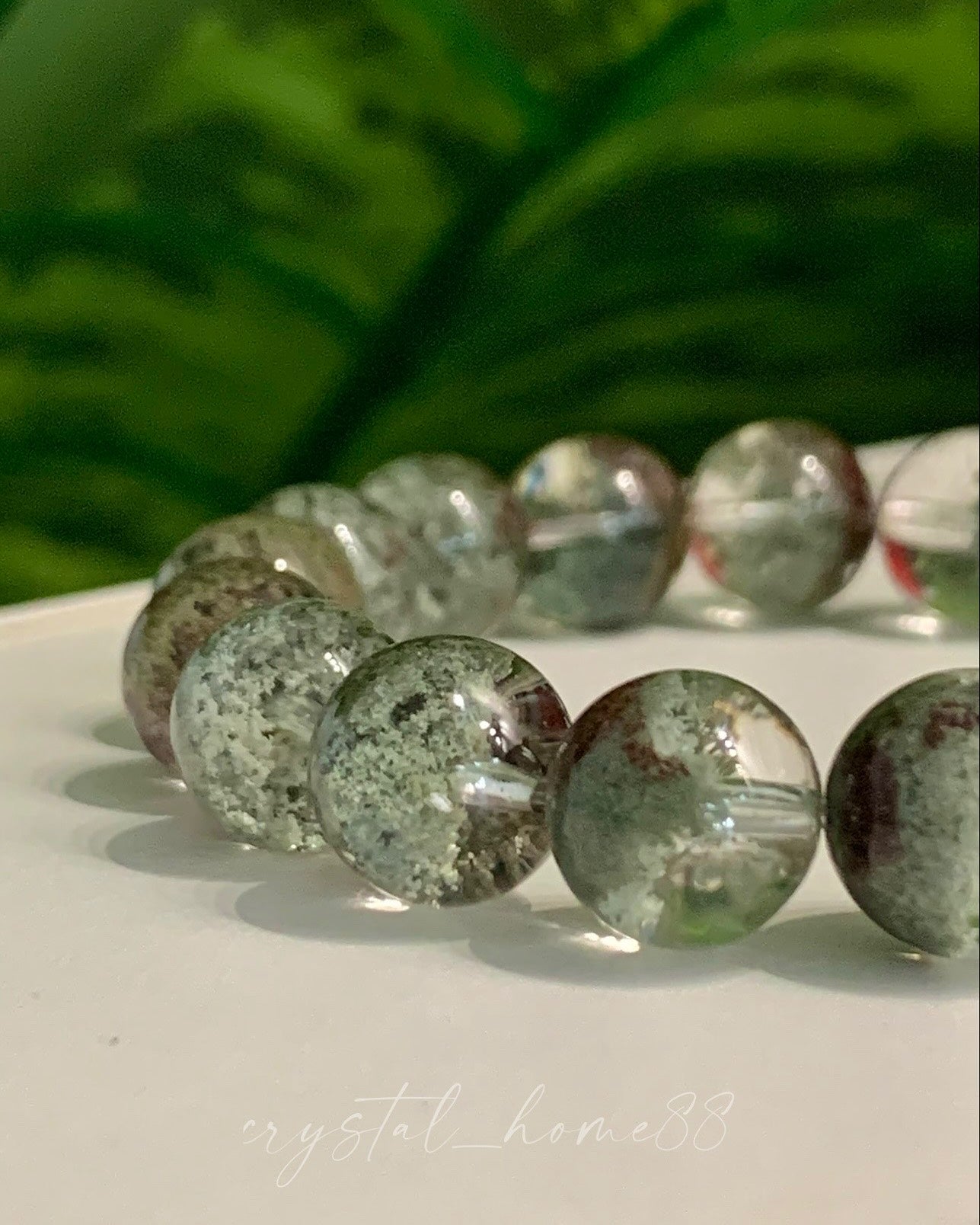 聚宝盆绿幽灵 Green Phantom（G21）