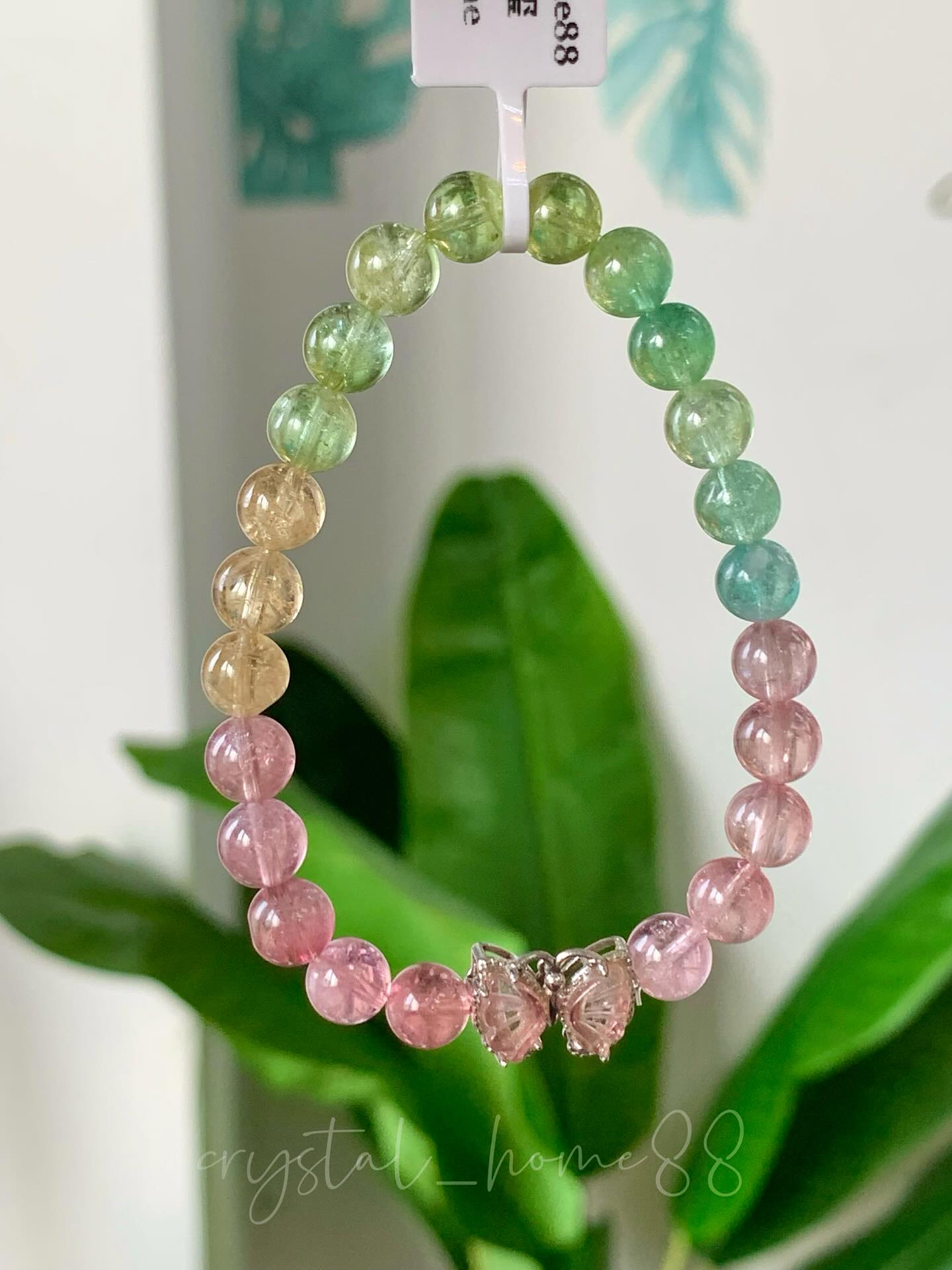马卡龙碧玺 Tourmaline（T64）
