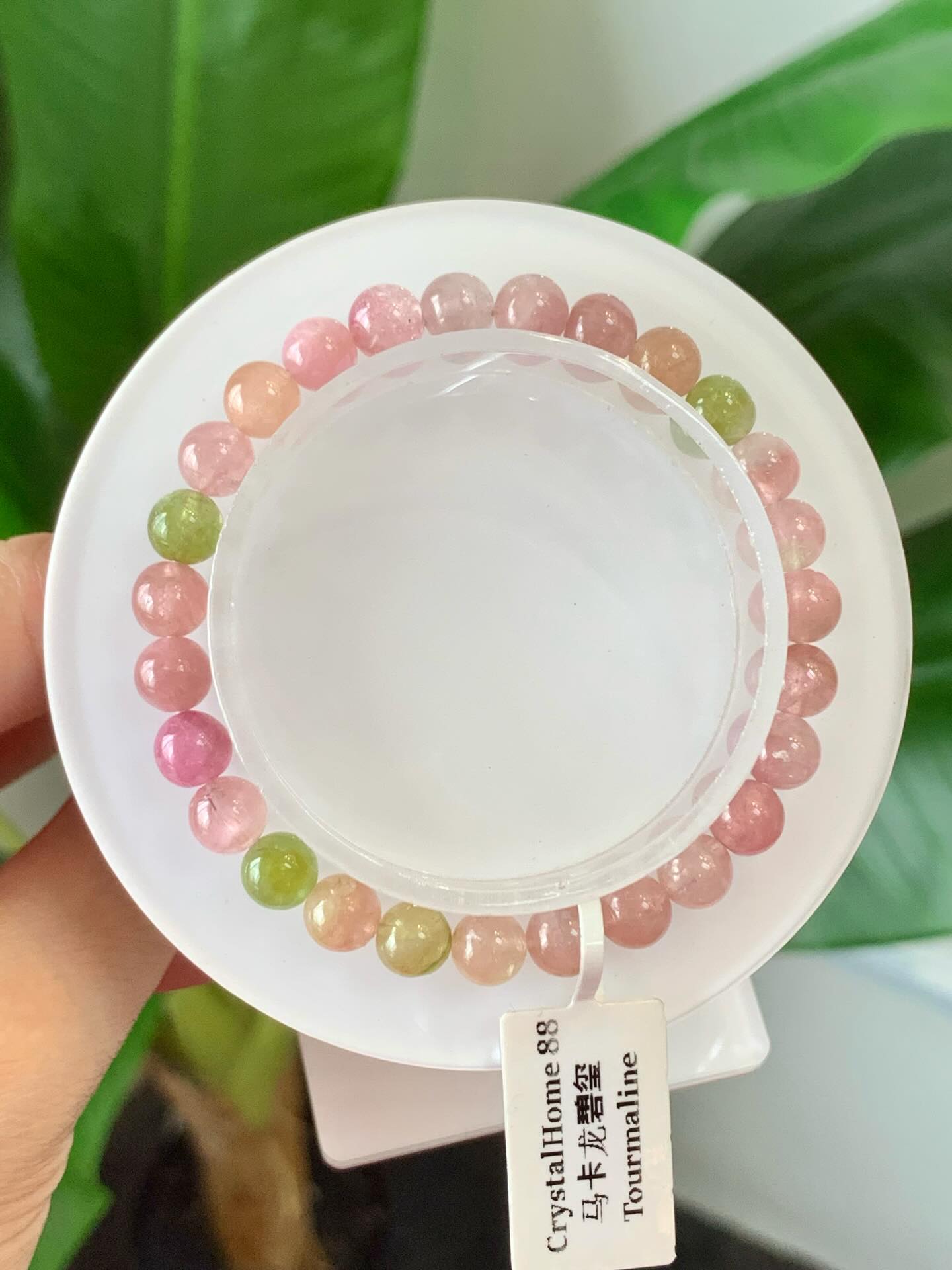 马卡龙碧玺 Tourmaline（T17）