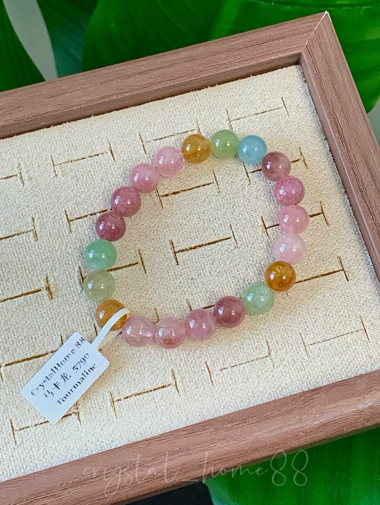 马卡龙碧玺 Tourmaline（5790）