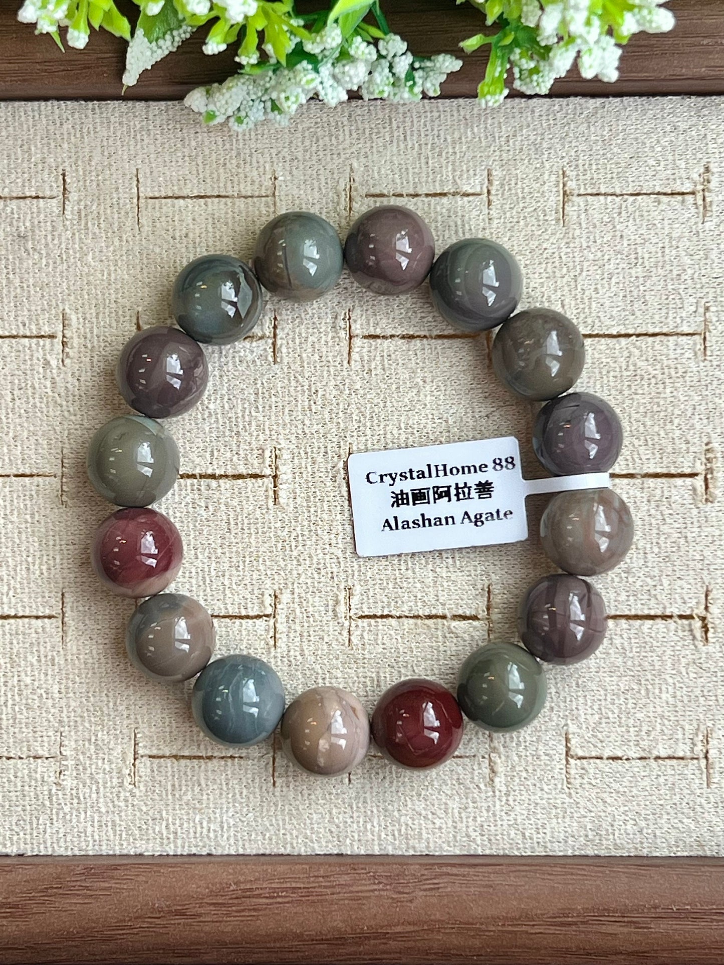 油画阿拉善 Alashan Agate（12-19）