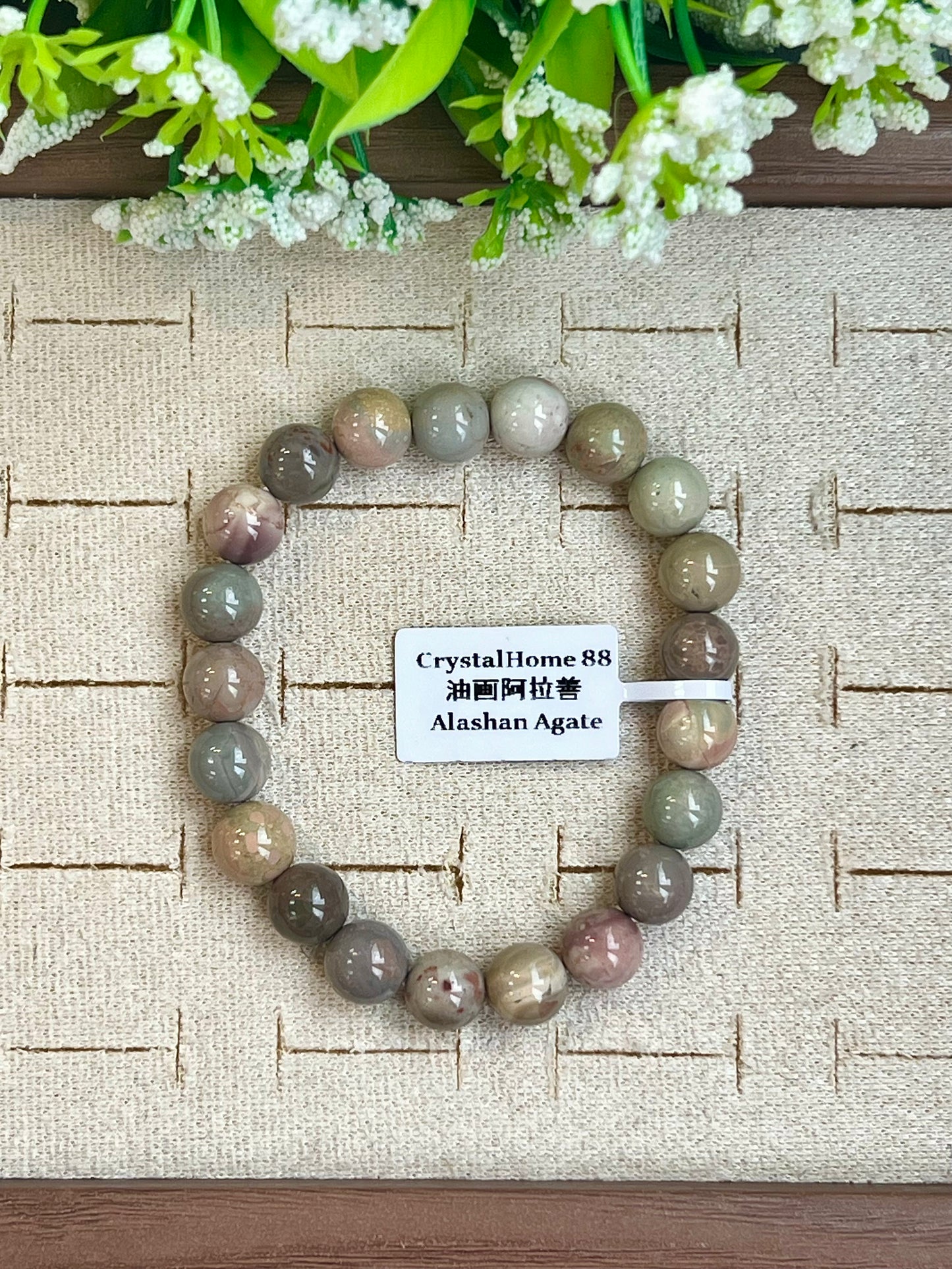 油画阿拉善 Alashan Agate（20-24）