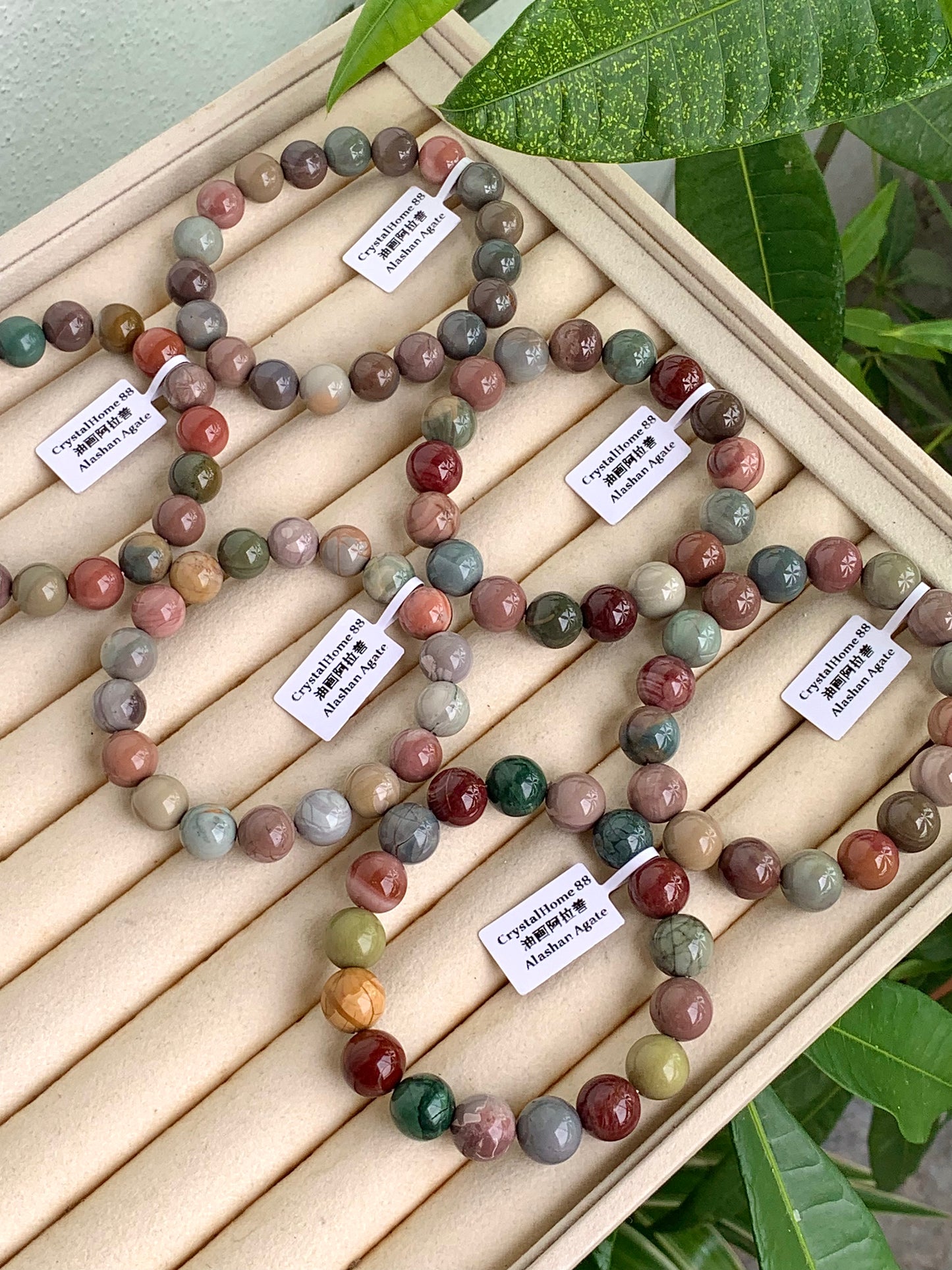 油画阿拉善 Alashan Agate（6-11）