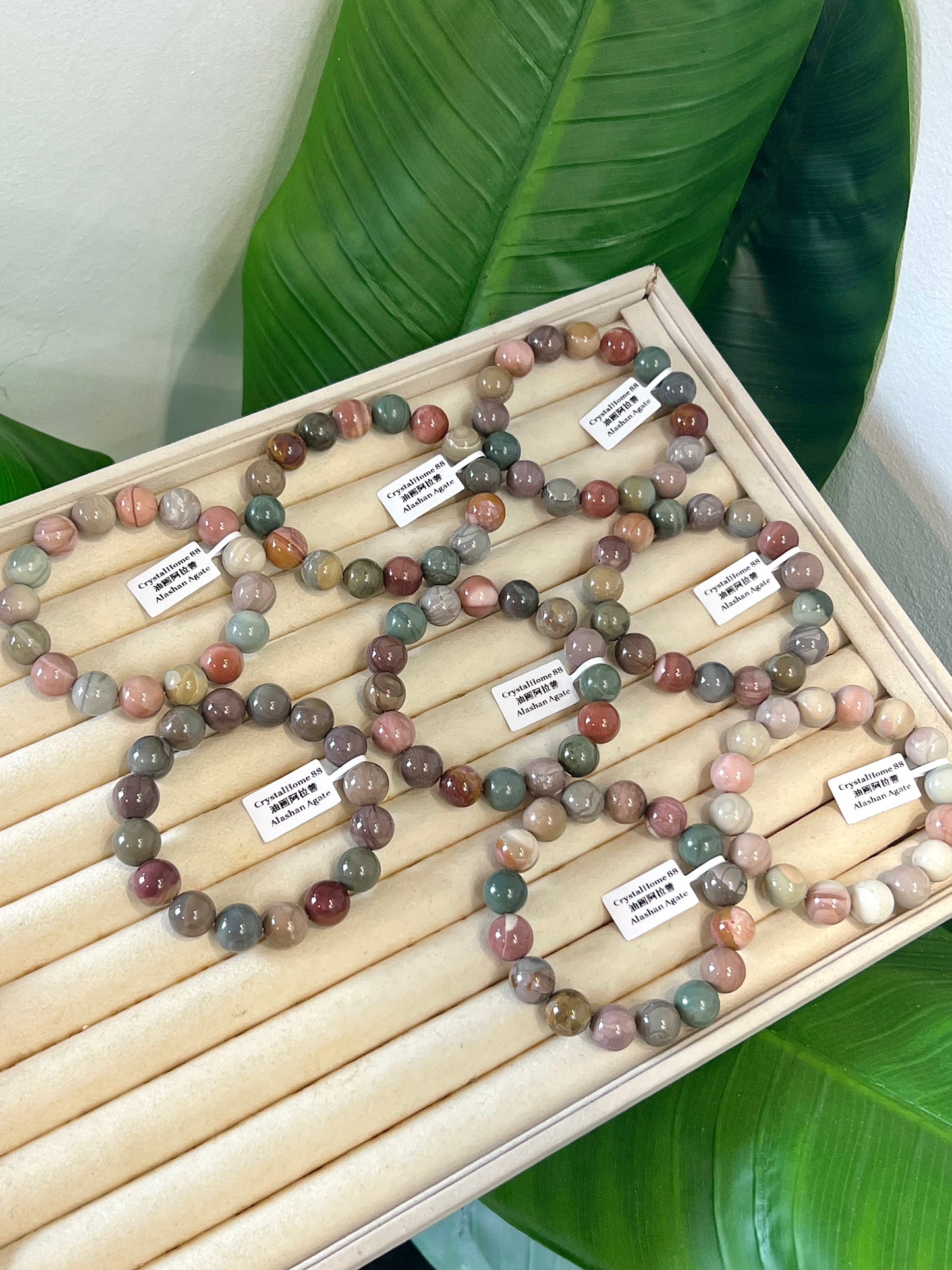 油画阿拉善 Alashan Agate（12-19）