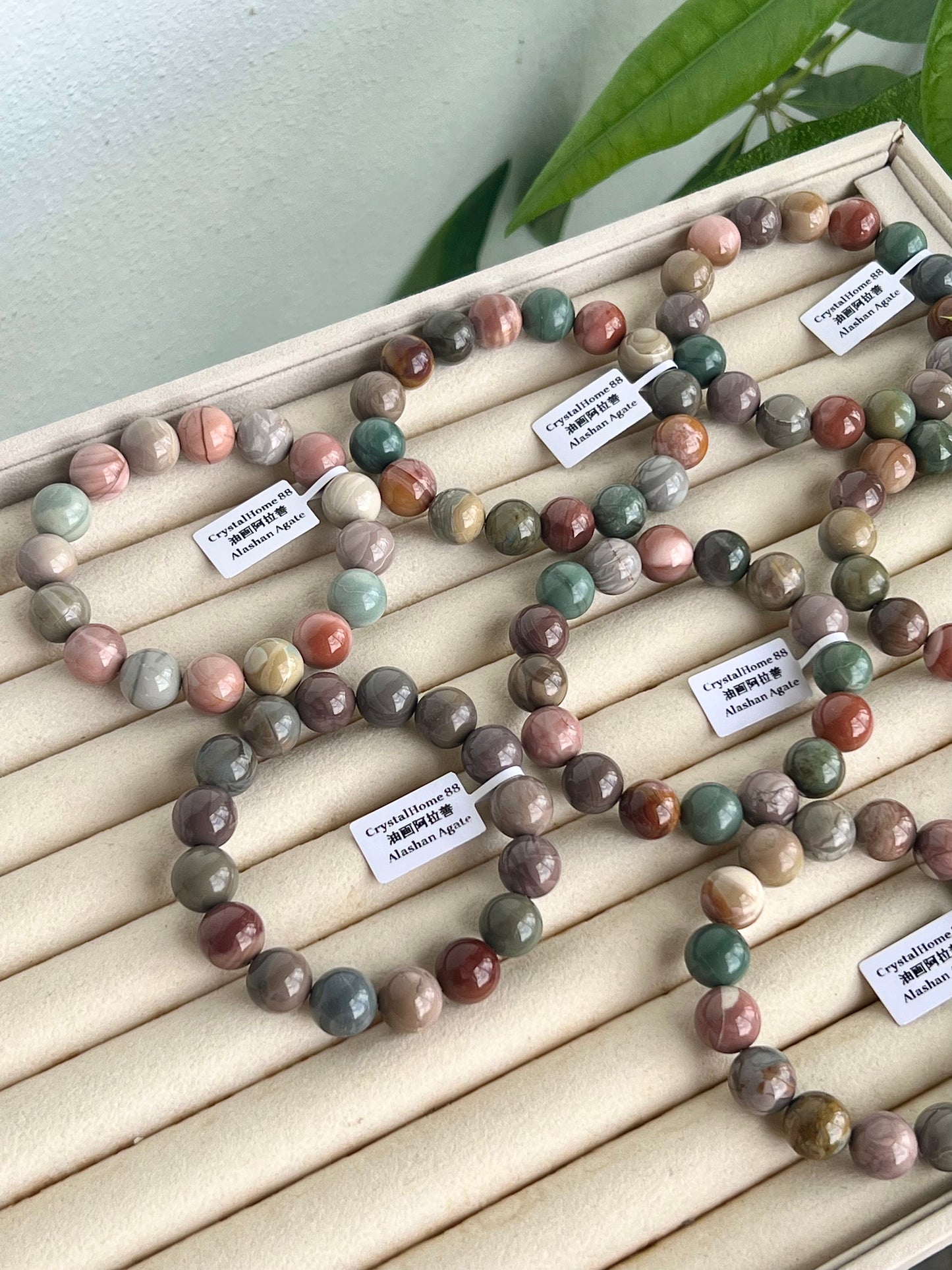 油画阿拉善 Alashan Agate（12-19）